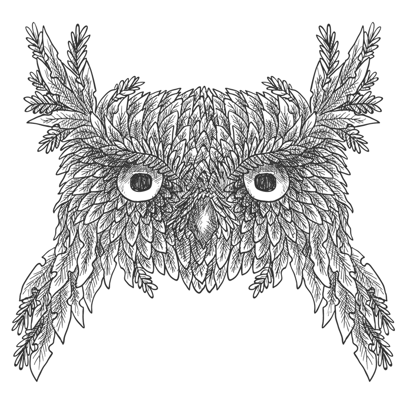 Exquisite Owl